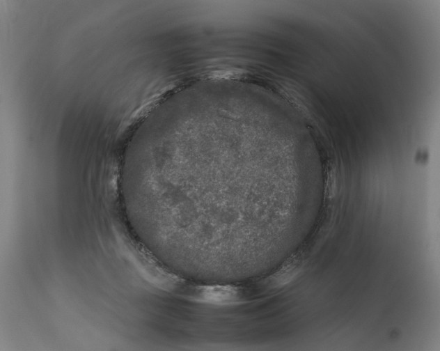 X0000111630363200907311233