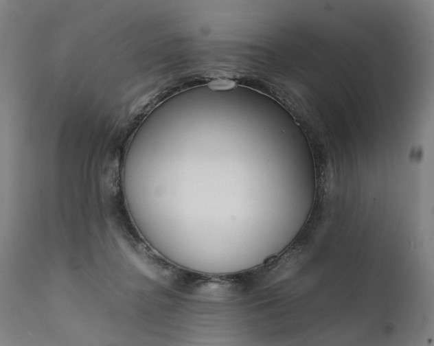 X0000111630364200907311233