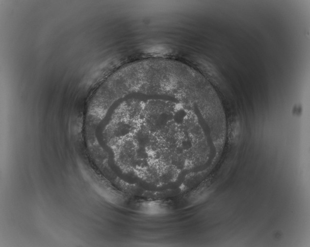 X0000111630365200907311233