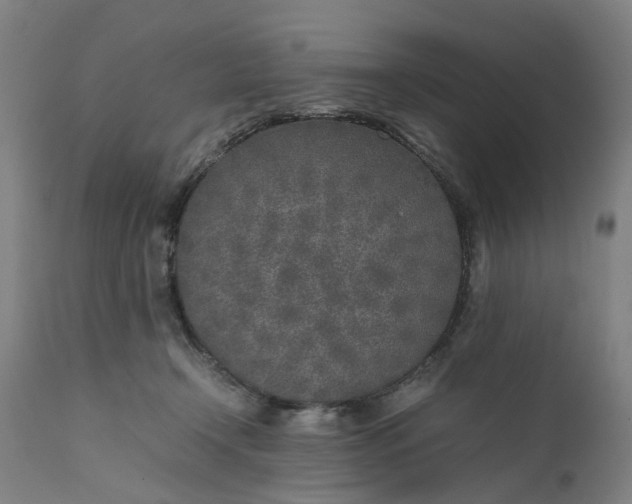 X0000111630366200907311233