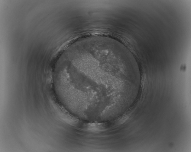 X0000111630367200907311233