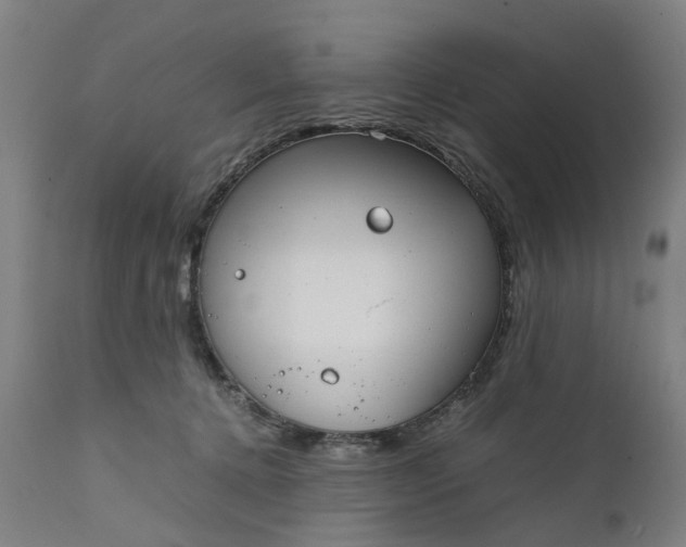 X0000111630368200907311233