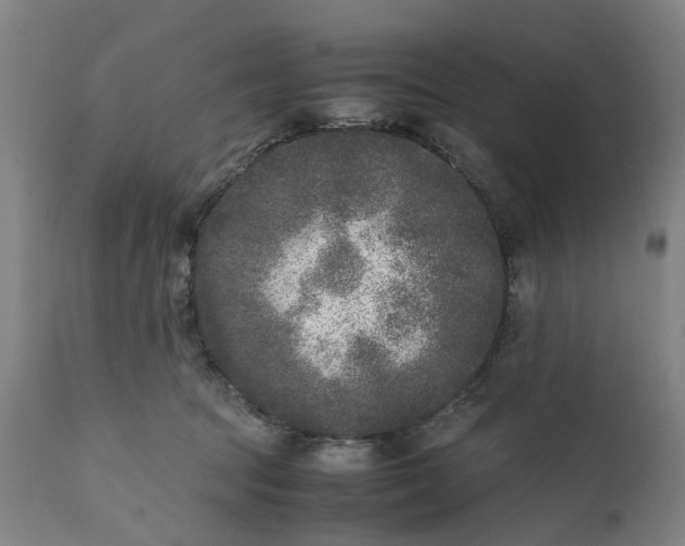 X0000111630369200907311233