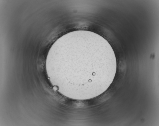 X0000111630370200907311233