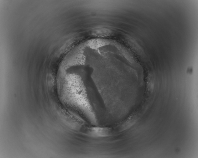 X0000111630371200907311233