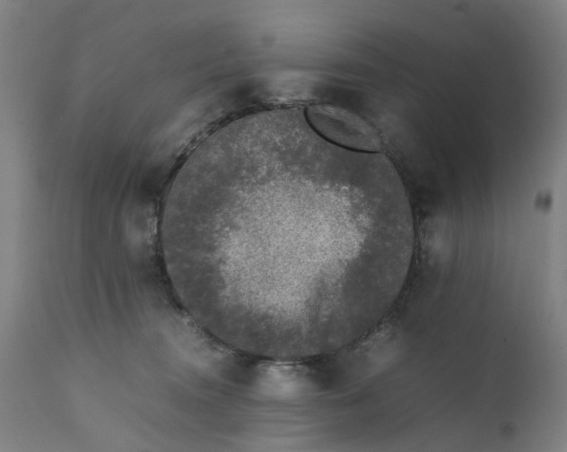 X0000111630372200907311233