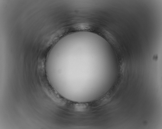 X0000111630373200907311233