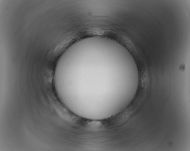 X0000111630374200907311233