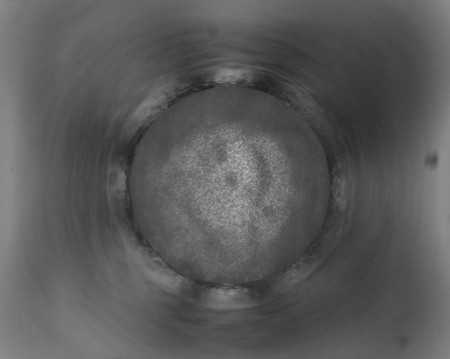 X0000111630375200907311233