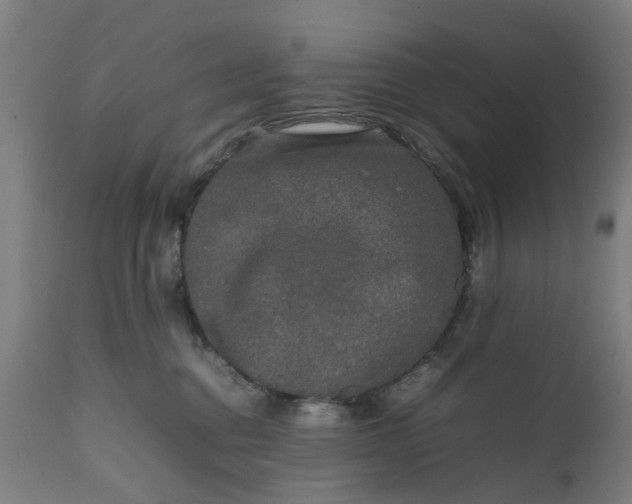 X0000111630376200907311233