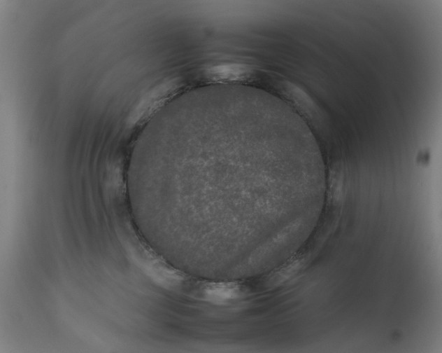 X0000111630377200907311233