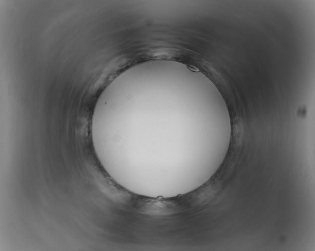 X0000111630379200907311233