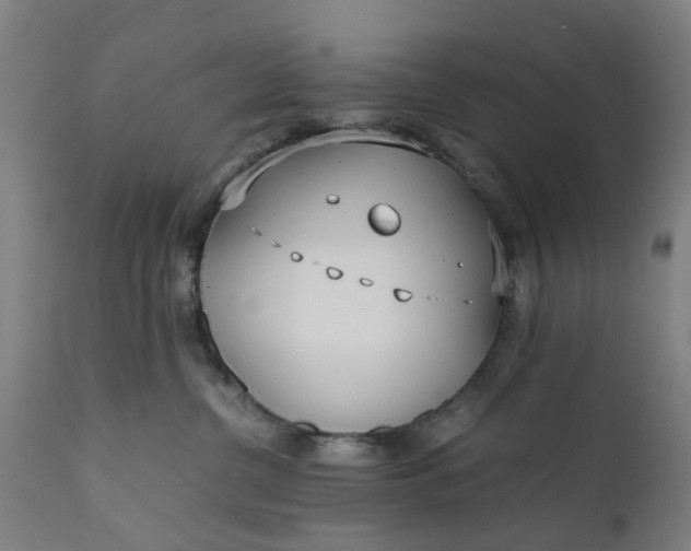 X0000111630380200907311233