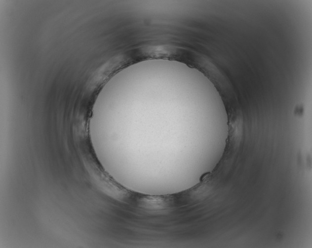 X0000111630381200907311233