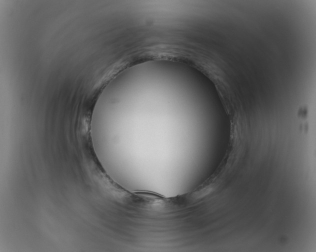 X0000111630382200907311233