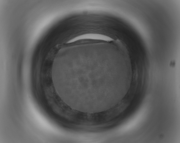 X0000111630383200907311233