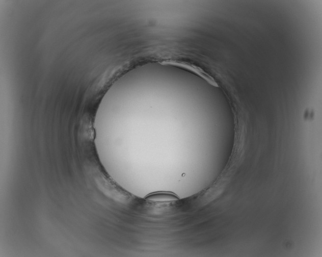 X0000111630384200907311233