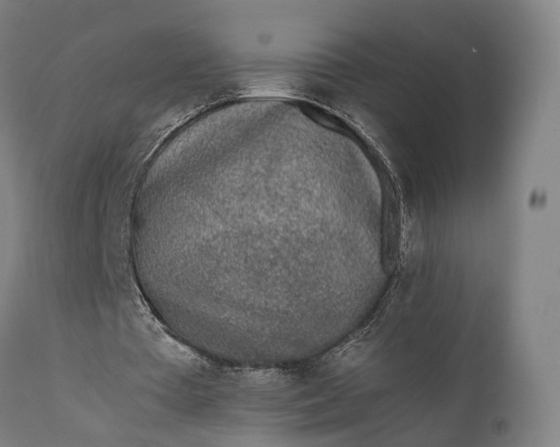 X0000111630385200907311232