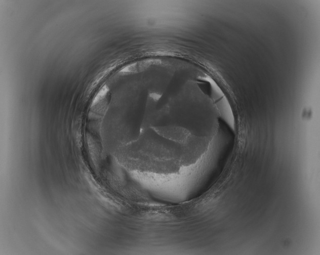 X0000111630386200907311232