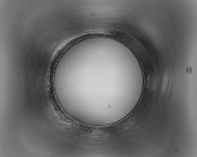 X0000111630388200907311232