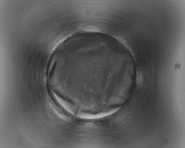 X0000111630390200907311232