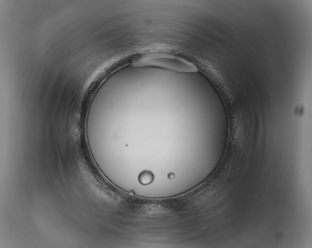 X0000111630392200907311232