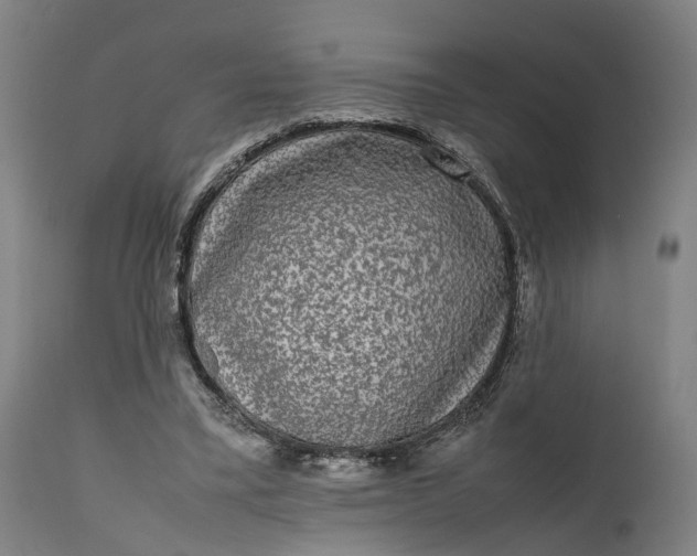 X0000111630395200907311232