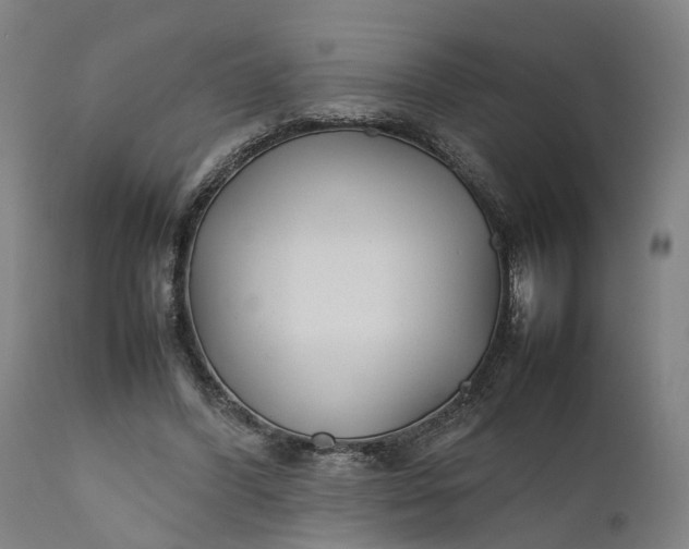 X0000111630396200907311232