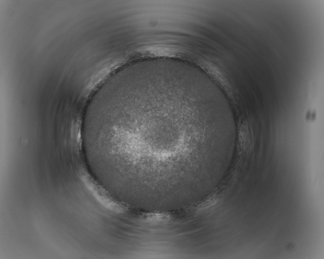 X0000111630398200907311232