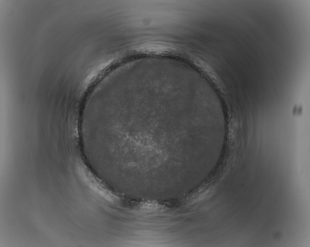 X0000111630399200907311232