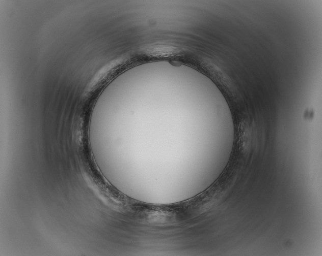 X0000111630400200907311232