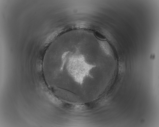 X0000111630401200907311232