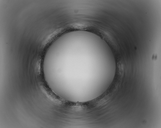 X0000111630404200907311232