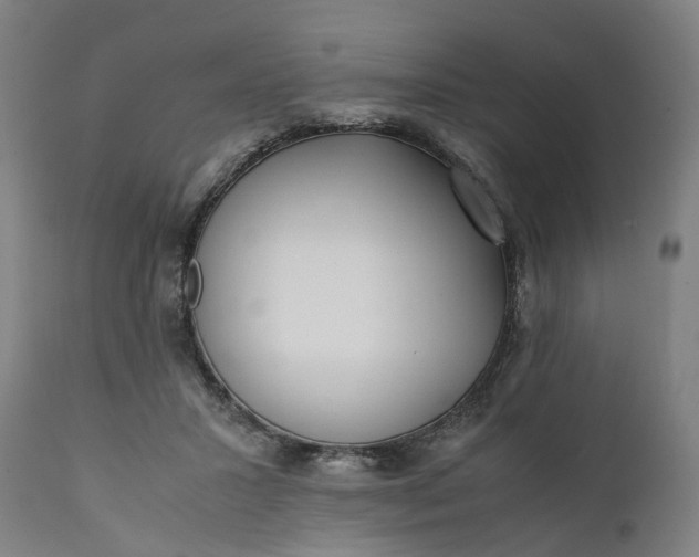 X0000111630407200907311232