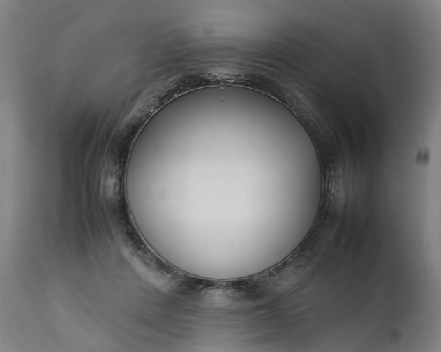 X0000111630408200907311232