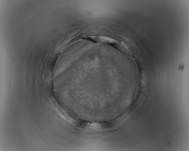 X0000111630409200907311232