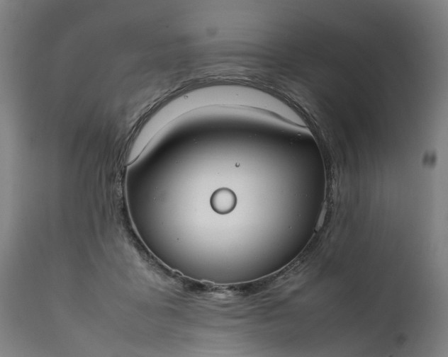 X0000111630411200907311232