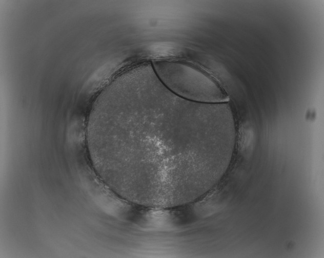 X0000111630413200907311232