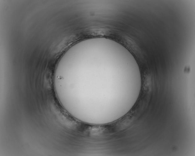 X0000111630414200907311232