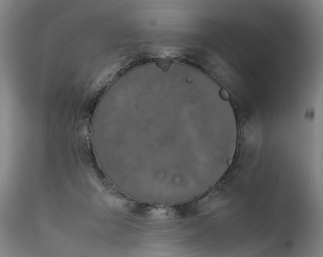 X0000111630415200907311232