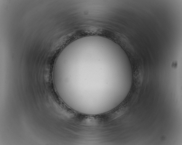 X0000111630416200907311232