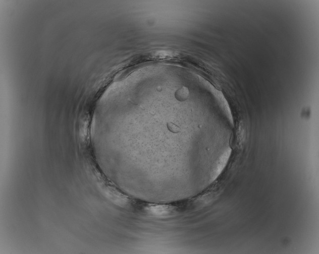 X0000111630417200907311232