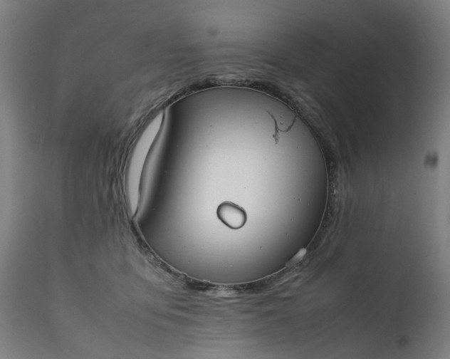 X0000111630419200907311232