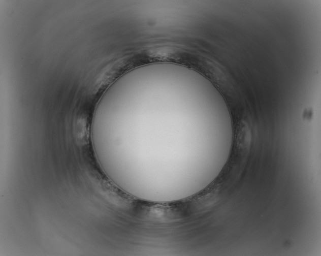 X0000111630420200907311232