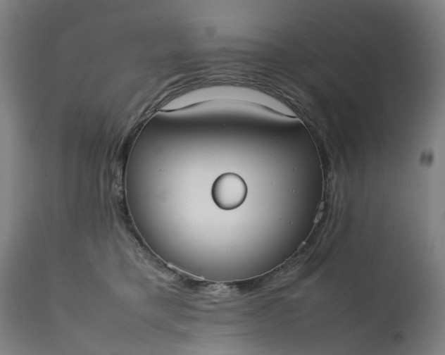 X0000111630421200907311232