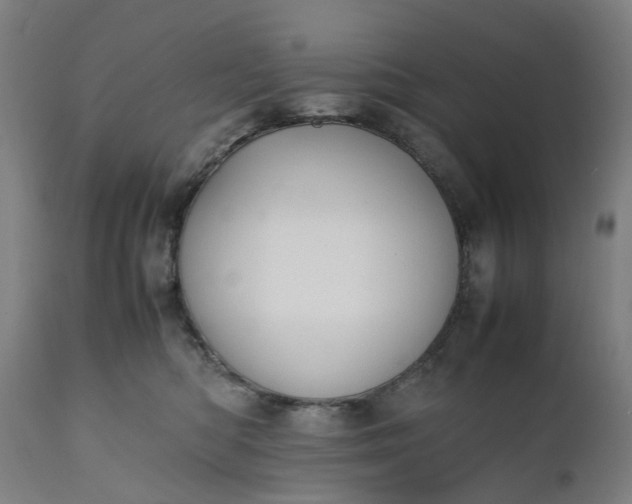 X0000111630422200907311232