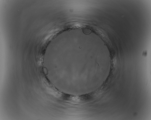 X0000111630423200907311232