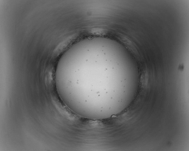 X0000111630424200907311232