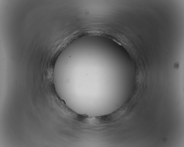 X0000111630425200907311232