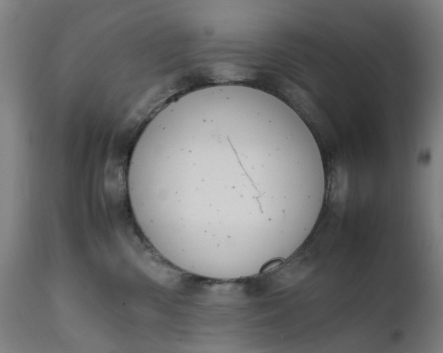 X0000111630426200907311232